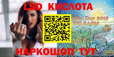 стаф Кинель
