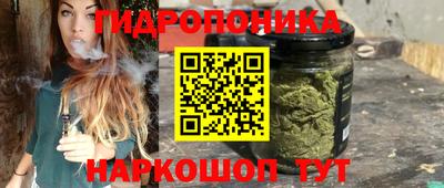 стаф Кинель