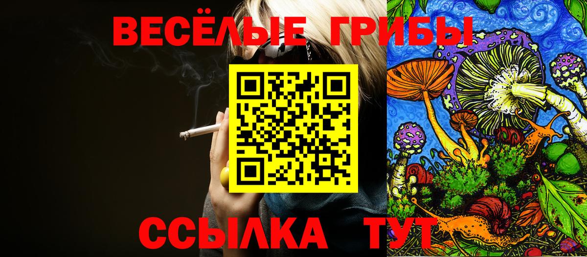 Галлюциногенные грибы GOLDEN TEACHER Комсомольск-на-Амуре