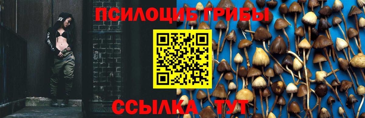Псилоцибиновые грибы Magic Shrooms  Вход с VPN  Комсомольск-на-Амуре 